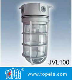 100W 220V 브라운, 회색 IP65 다이 캐스트 알루미늄 증기 방지등, LED 홍수등